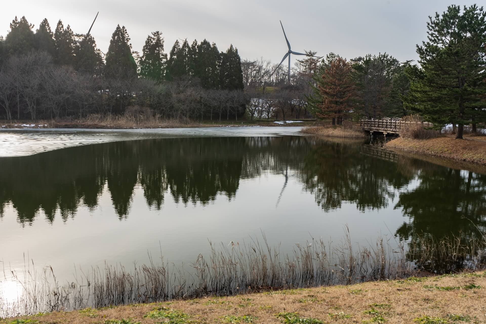 🏞️ 텐노 그린랜드(덴노 그린란도) 이미지 6
